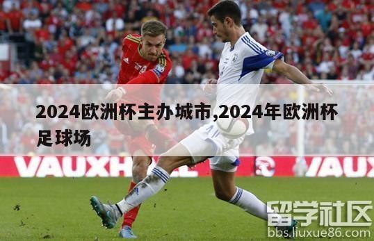 2024欧洲杯主办城市,2024年欧洲杯足球场